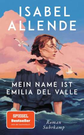 Mein Name ist Emilia del Valle. Roman