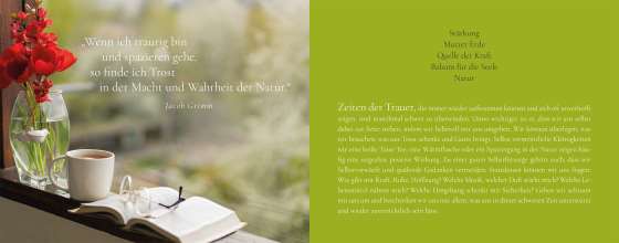 Das Funkeln der Sterne. Trost finden in Zeiten der Trauer