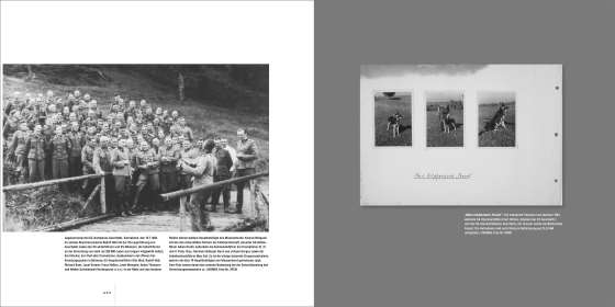 Das Höcker-Album. Auschwitz durch die Linse der SS