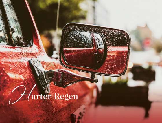 Denkwege. Ein Begleiter durch Advent und Weihnachtszeit