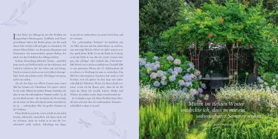 Sonne für die Seele. Meine toskanischen Momente